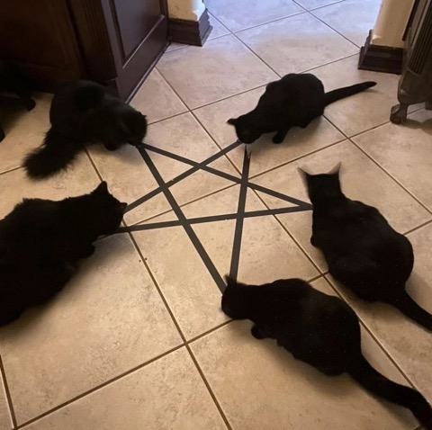 Дух и магические рецепты блюд четырёх стихий