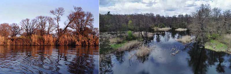 Половодье на реке Усманка