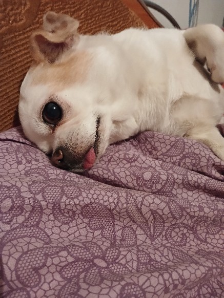 Вот и снова рассвет