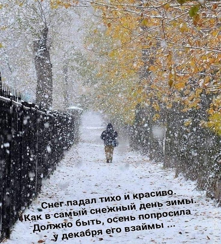 Зимы и осени дуэт...