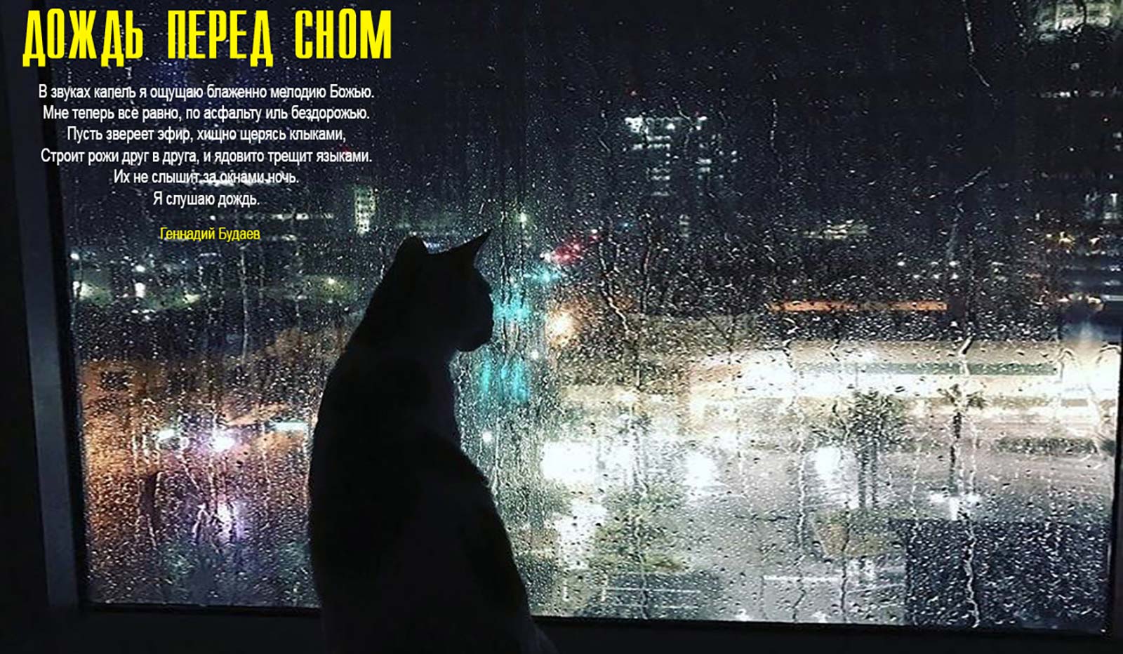 Дождь перед сном