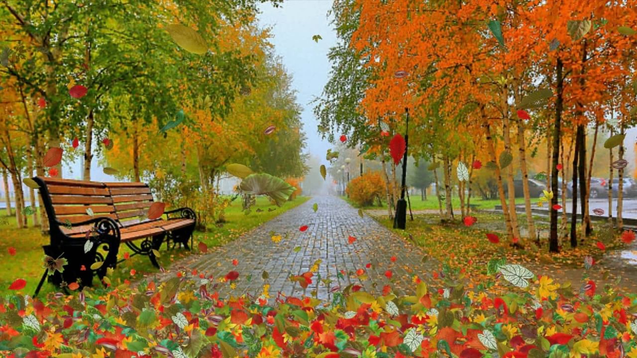 Осенний листопад