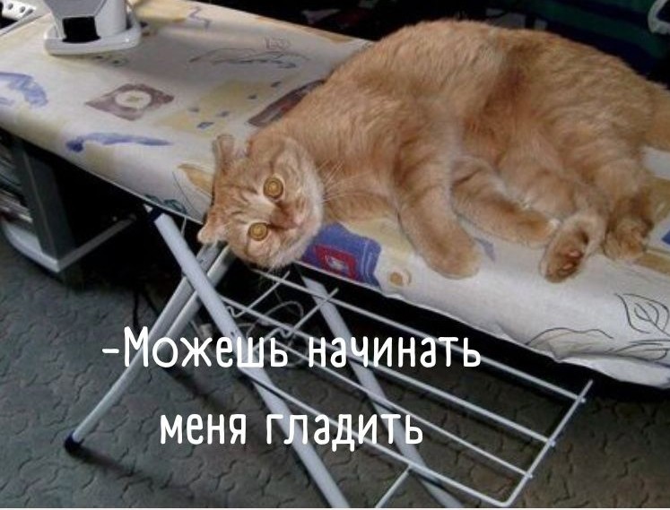 Изобретательный зверь