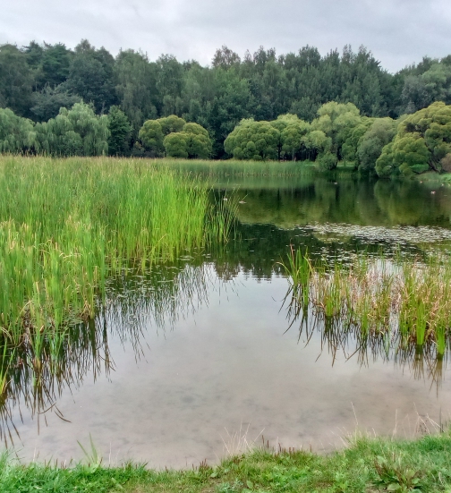 День прошёл почти что даром
