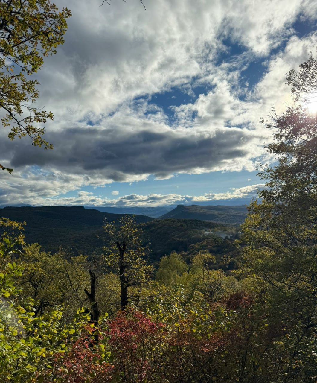Афоризм И вовсе не сейчас