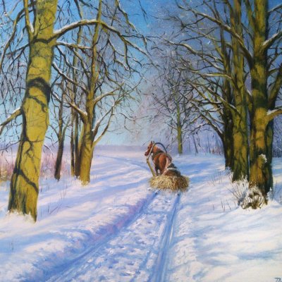 Русские сани!