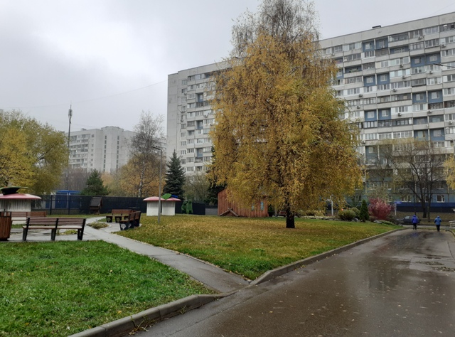 Осень - время раздумий