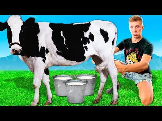 Глупый мужик