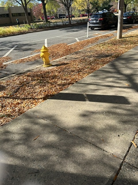 Завтра ноябрь... - сказал