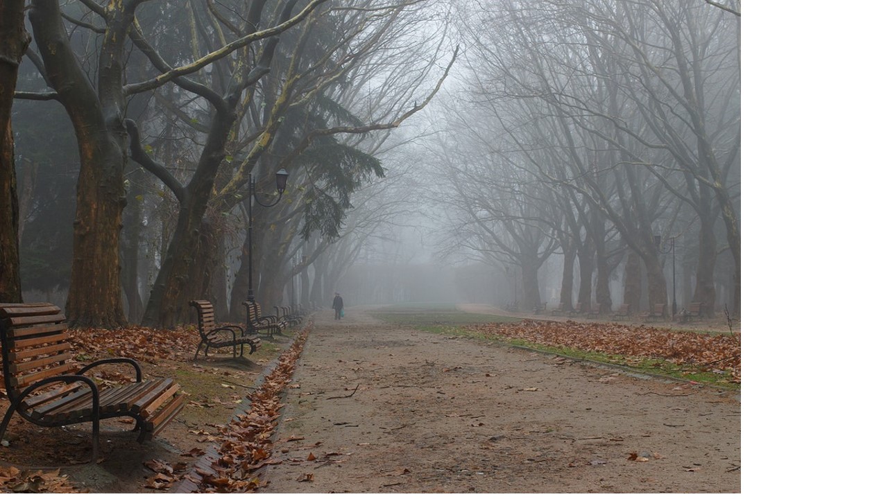 Полюбите Ноябрь