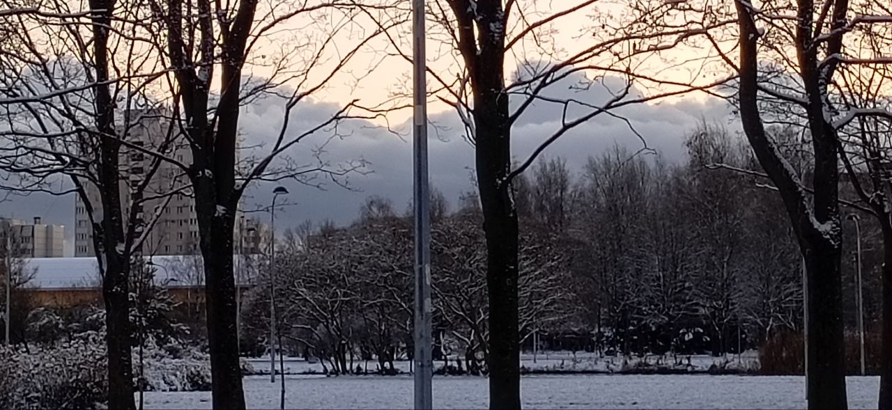 В нашем с вами Питере