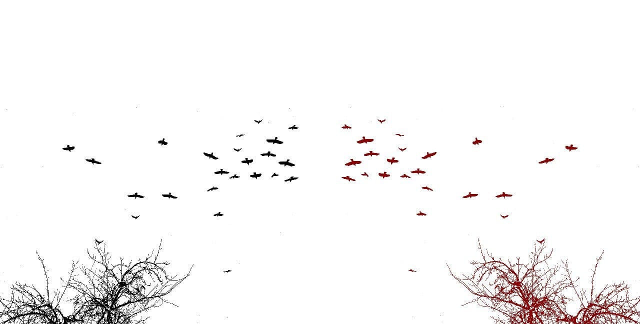 От ненависти до любви