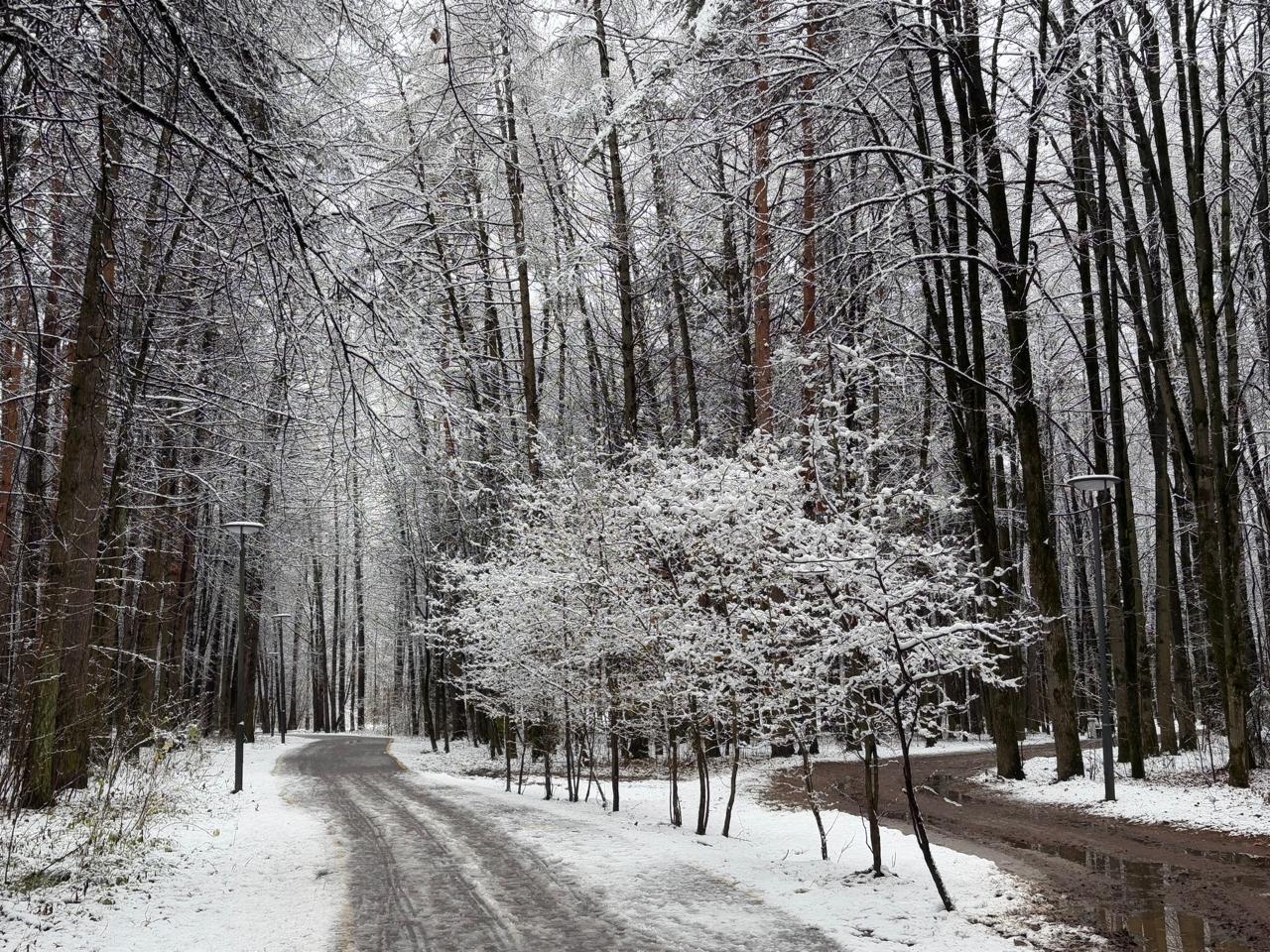 Первый снег