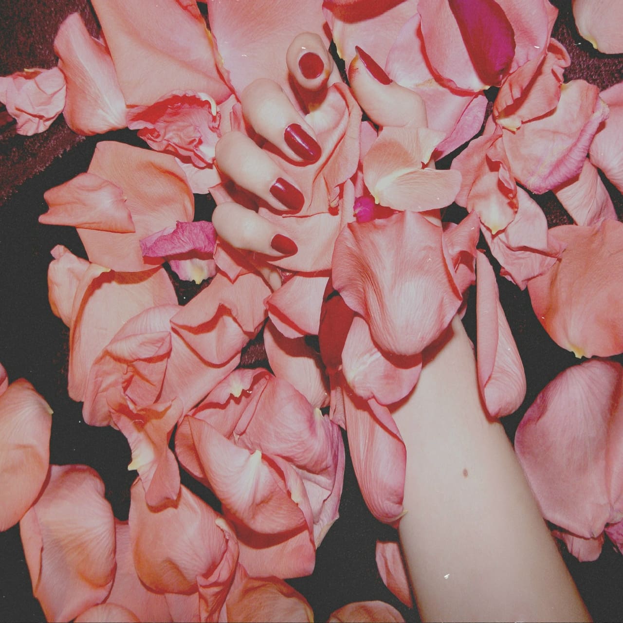 Мой Человек