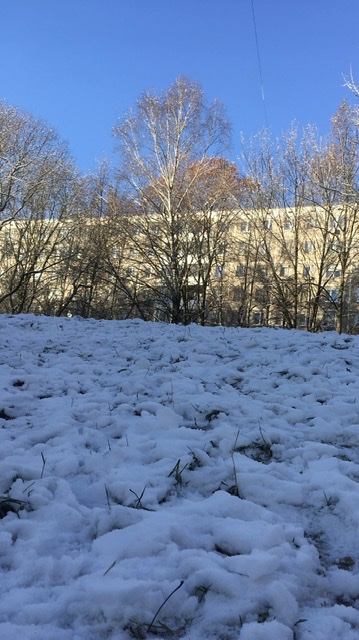 Первый снег