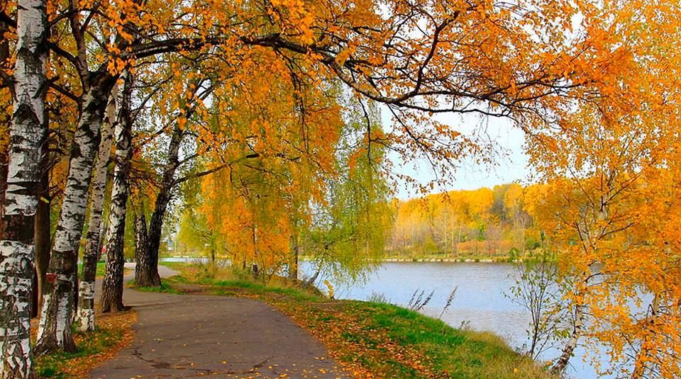 Октябрь Я родился в октябре