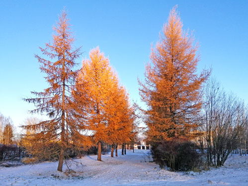пришёл зимы черёд...