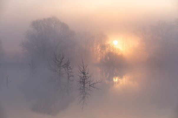 Душевный осени мирок