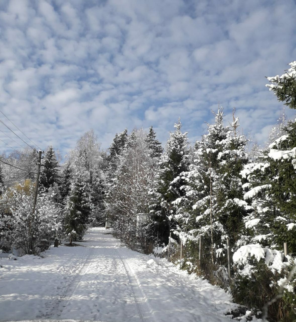 Первый снег