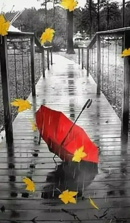 Стук каблука