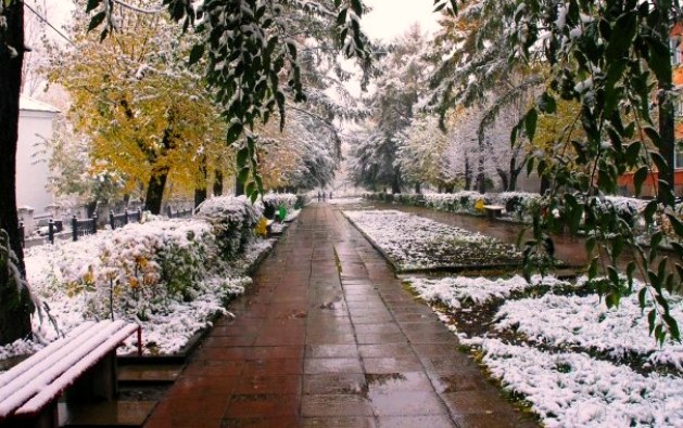 Подарок осени