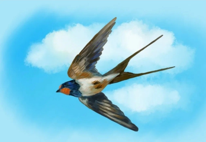 Заботой нежной окружён