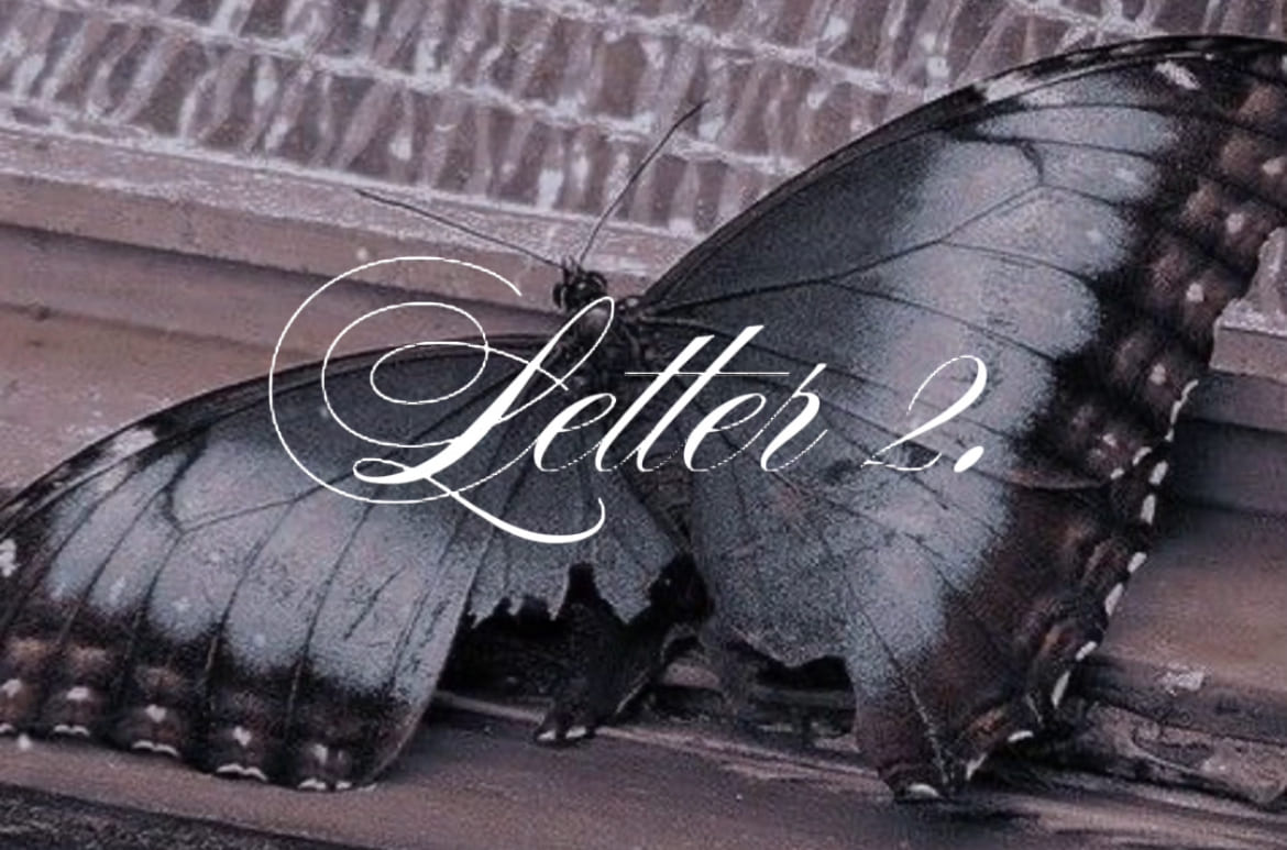 Второе письмо