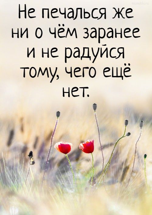 С тех пор полыхают дома