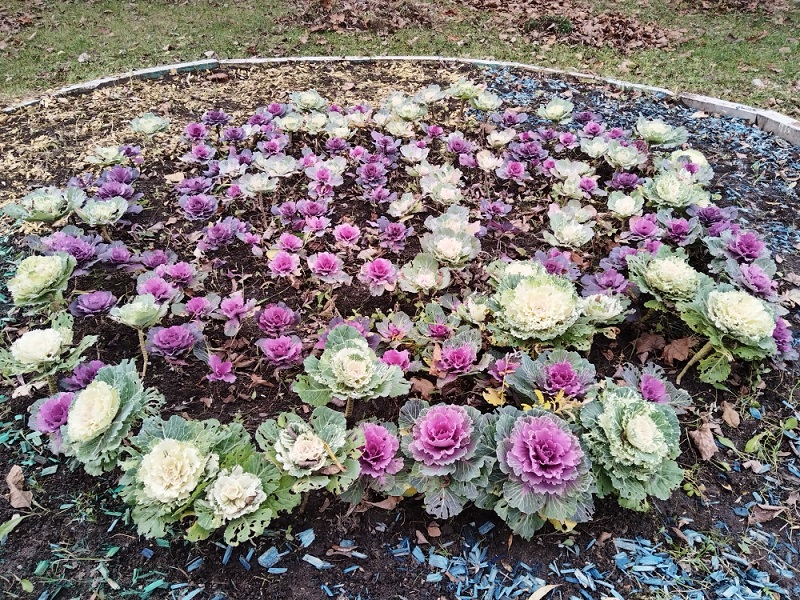 Прогулка по ноябрьской Москве