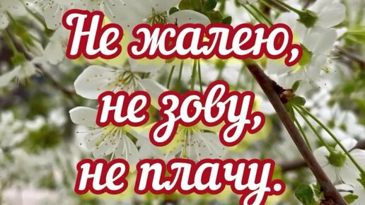 Не жалею, не зову, не плачу Подражание С. Есенину