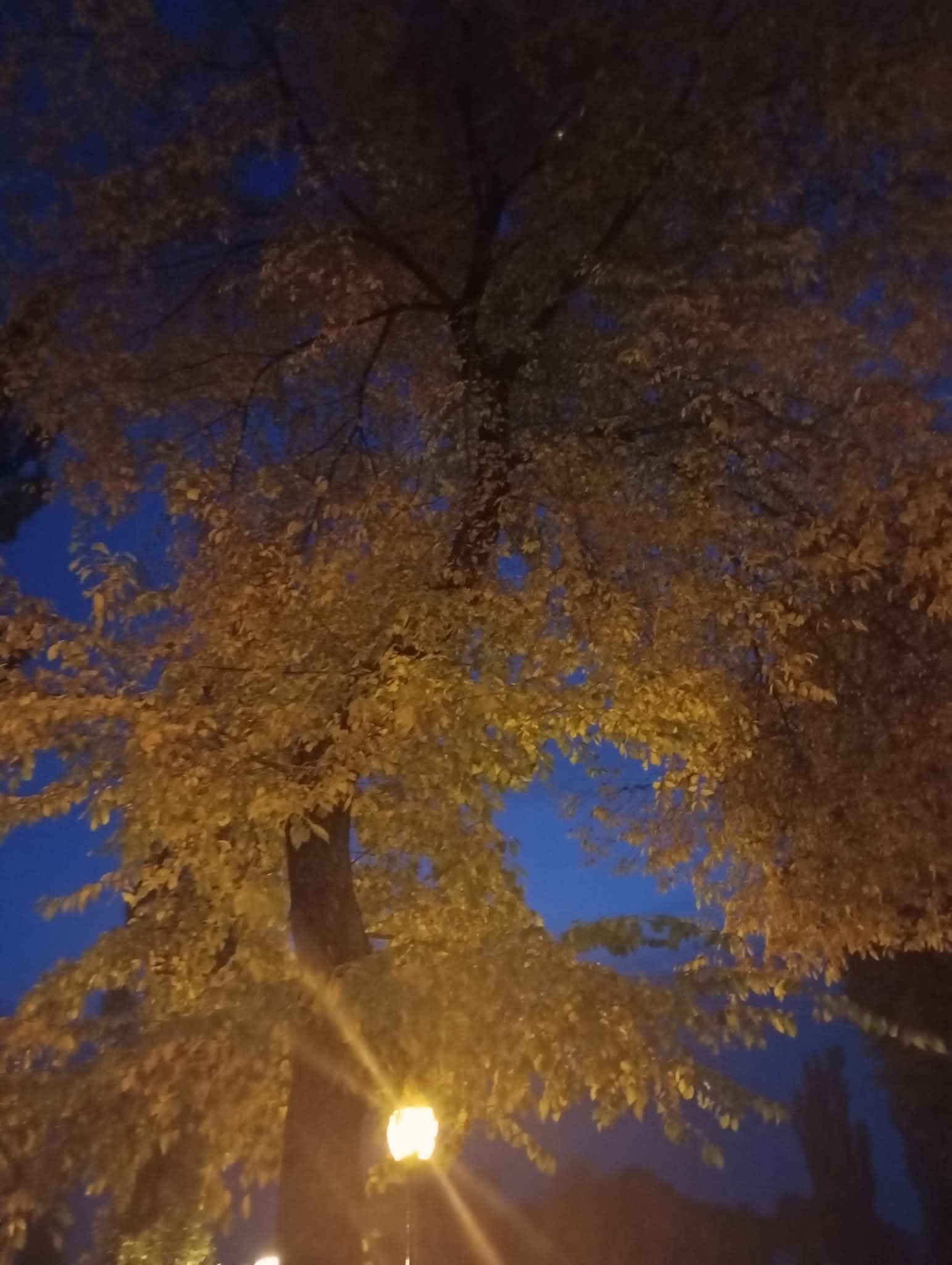 Сегодня холодно