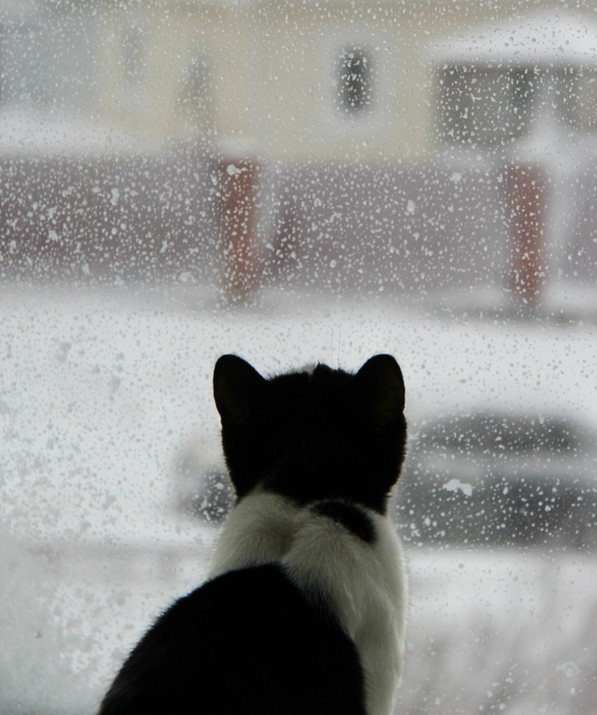 На моё день рождение