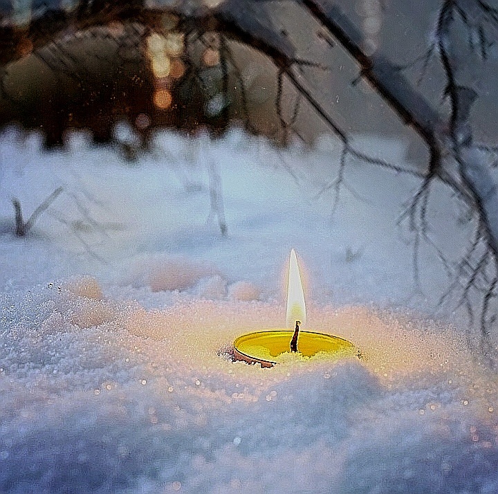 Всего однажды