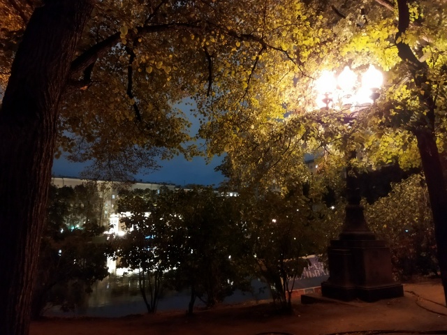 Мечты женщины