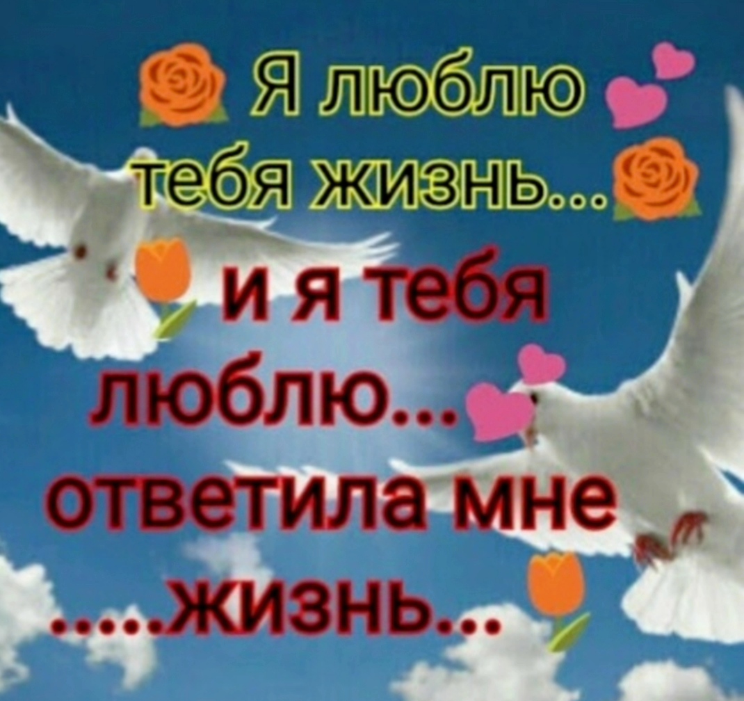 И я люблю его ведь тоже...