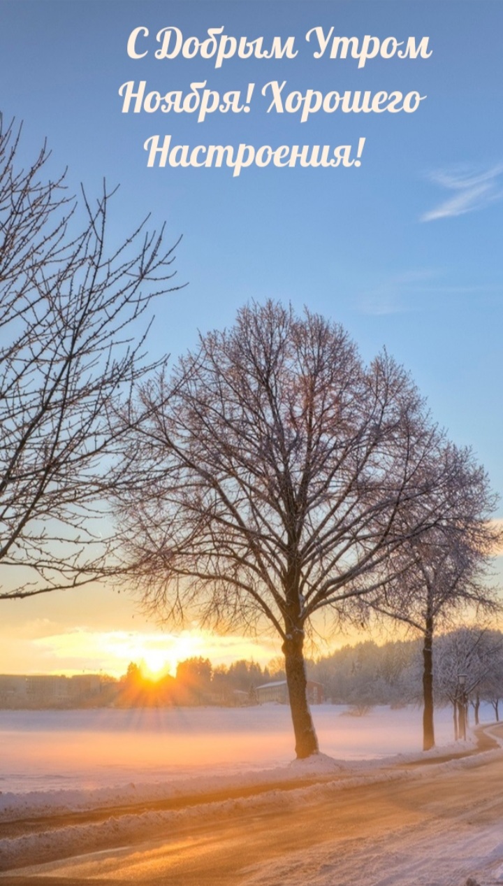 Новый день ноября