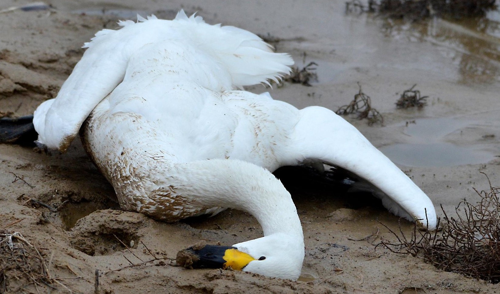Отгремела грозами майская весна