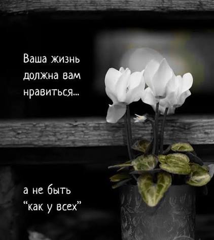 Ты мог... давно