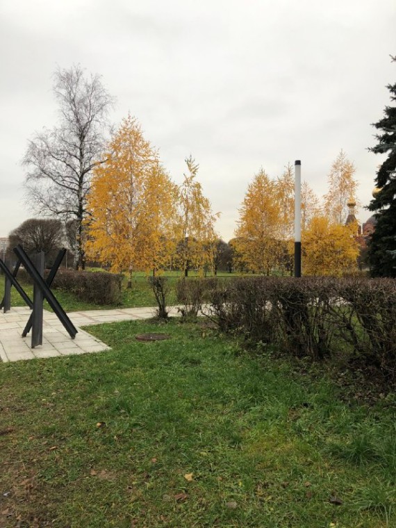 У Переднего края