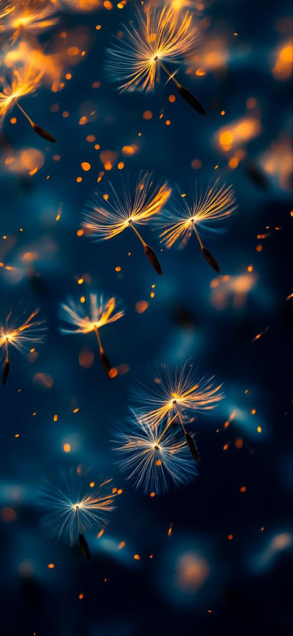 Сон который допишу