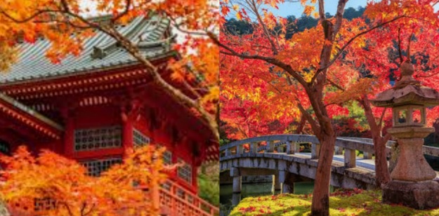 Момидзигари