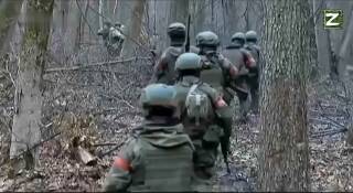 Шаг за шагом