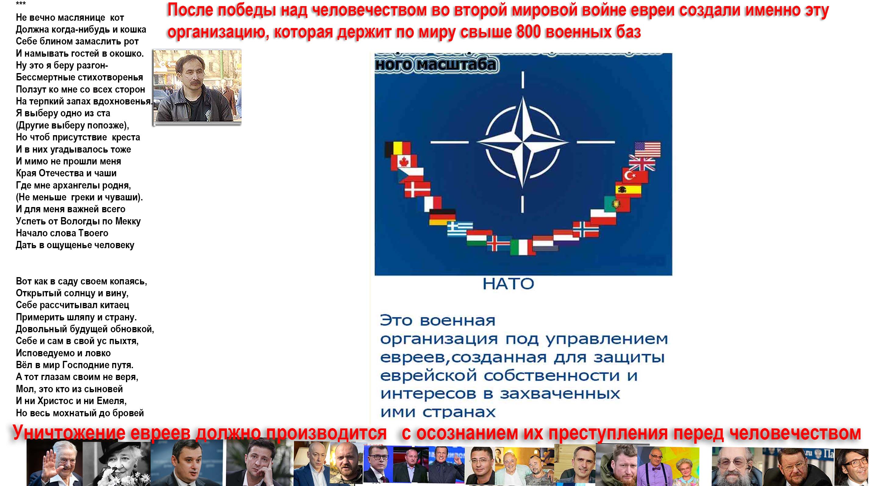 Не вечно маслянице кот