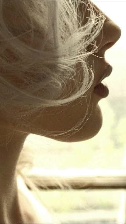 утро в ноябре