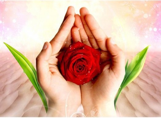 Цветок один и неделим