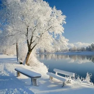 Начала зима разбег