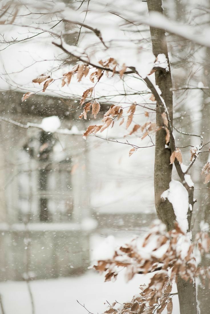 А вторник обещает вновь дожди...
