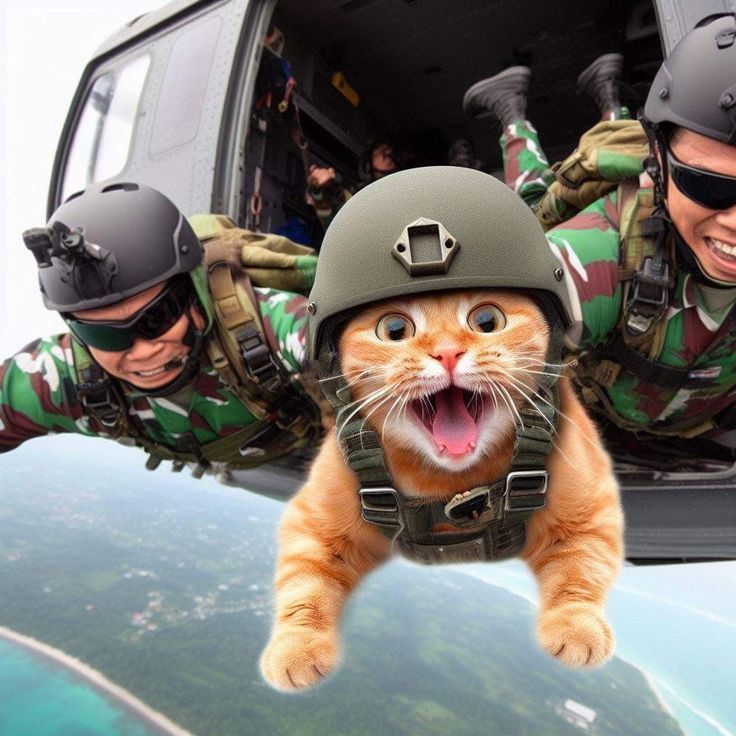 Зрительному ряду. сл. Сергей Анатольевич Плотников