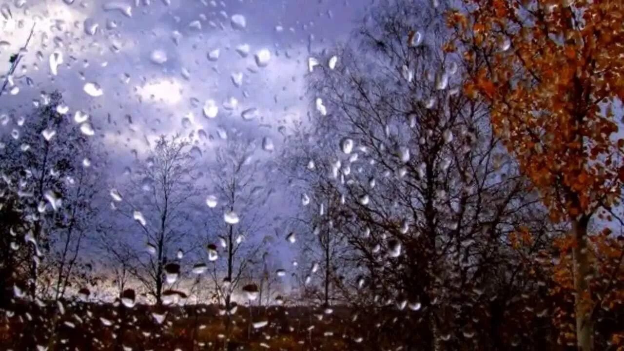 Осень бездушная...