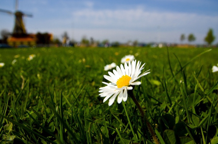 Что посеешь, то и пожнешь